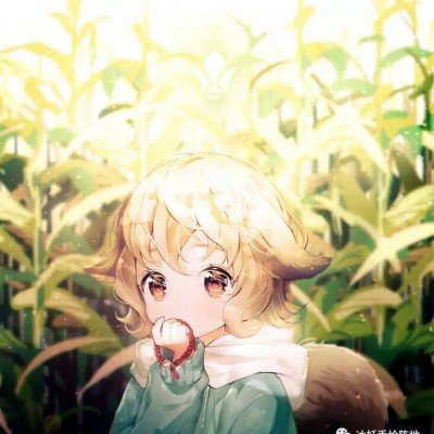 鲁迅手植白丁香101岁生日绽放迎客